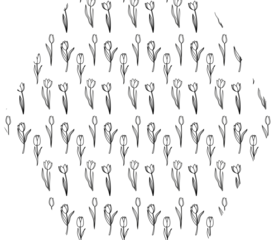 
Polygon with tulips holiday decoration.