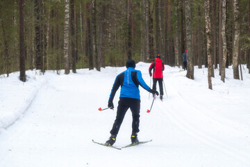 People ski in winter on a ski track through a winter forest.Cross Country skiing.