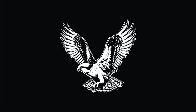 angel wings black and white, eagle, eagle flying, eagle design, eagle wings, peregrine falcon, perigrine falcon design, perigrine falcon logo, 