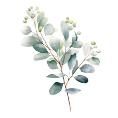 Hand-painted eucalyptus branch with green leaves and blue berries, perfect for invitations or wall art