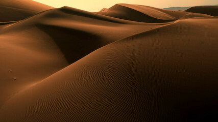 person in the desert