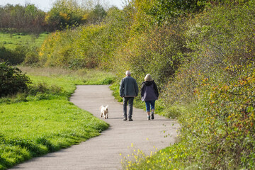 Senior dog walkers in a park in autumn