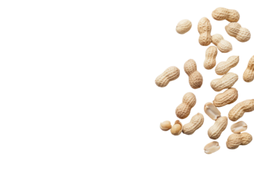 
peanuts on a white background Real daytime first person perspective
