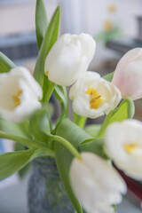 Bouquet of white tulips in the interior