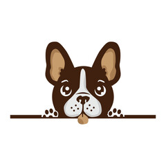Cute border pull dog waving paw cartoon vector illustration