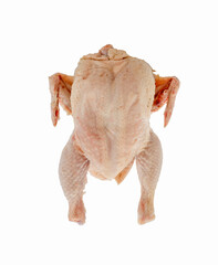 chicken carcass on a white background
