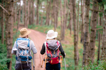 Hiking Couple backpacker in the pine forest.