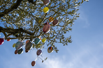 Colorful easter eggs hanging in an olive tree in front of blue sky on a sunny day