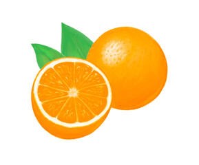 Orange with leaves. Tropical citrus fruit. Healthy food. Garden and harvest. Design for label. Illustration isolated on white background. Hand drawn outline
