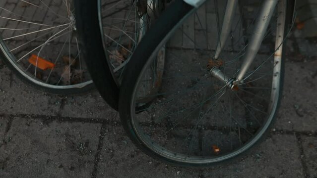 Urban Decay: Row of Bikes Parked with Several Exhibiting Broken Wheels