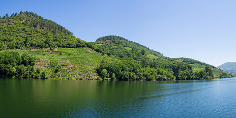 Panorámica del paisaje del cultivo de la vid en la Ribera Sacra de Lugo, navegando por el río Sil, en verano de 2021, Galicia, España.