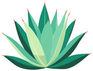 Agave isolated on transparent background. Agave is a genus of monocots native to the arid regions of the Americas
