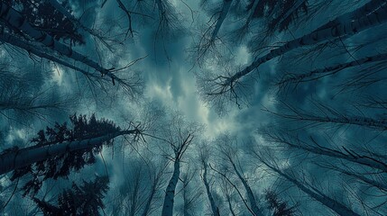 An extreme low-angle looking directly up in to the sky clearing with tree branches in view. Generative AI.