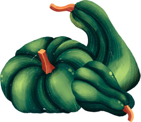 zucchini green color pumpkin