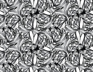 Modern Black and White Buttefly wings Seamless pattern vector Illustration - 760765867