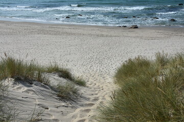 sand dunes on the beach