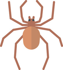 Spider icon. Arachnid animal symbol. Small insect