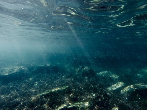 plastic ocean microplastic