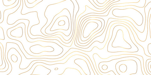 abstract golden wave paper curved reliefs background. Topography map pattern, Geographic curved, vector illustration. seamless textrue, vintage waves. Panorama view multicolor wave curve line. - obrazy, fototapety, plakaty
