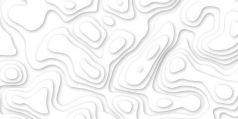 Fototapeta na wymiar Abstract geometric layered curve line white background. 3d white papercut topography relief. Cover layout template. paper cut topography soft background banner texture. light liquid wave illustration.
