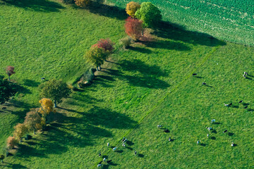 vue aérienne de la campagne à l'automne en France - 760775467