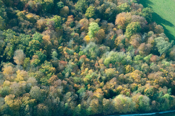 vue aérienne de forêt à l'automne en France - 760775479