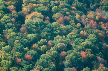 vue aérienne de forêt à l'automne en France - 760775483