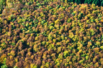 vue aérienne de forêt à l'automne en France - 760775605