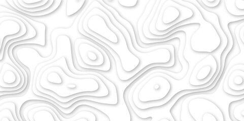 Abstract geometric layered curve line white background. 3d white papercut topography relief. Cover layout template. paper cut topography soft background banner texture. light liquid wave illustration.