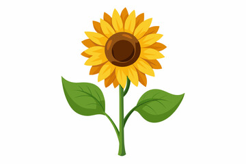  Sunflower with stem and dark green leaves, vector art illustration 