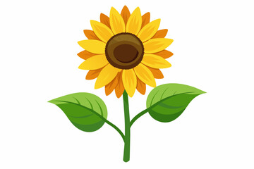  Sunflower with stem and dark green leaves, vector art illustration 