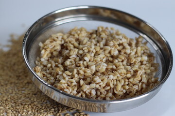 Soaked whole grain hulled barley in the strainer.