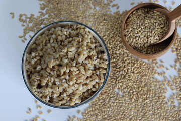 Soaked whole grain hulled barley in a ceramic bowl.