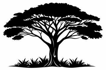silhouette, african tree, black and white