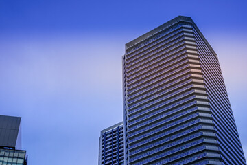 Fototapeta premium 緑と高層ビル