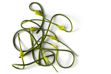 Bunch of Vibrant Green Garlic Scapes on White