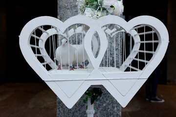 weiße Tauben bei einer Hochzeit