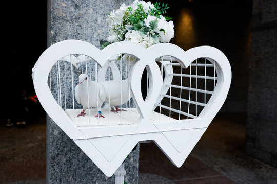 wei&szlig;e Tauben bei einer Hochzeit