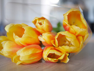 offrir des tulipes