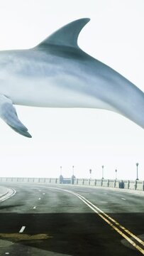Flying Dolphin Soars Over Road