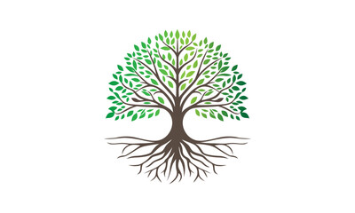 Tree vector illustrations roots mangrove tree vector isolated forest nature white background png 