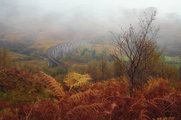 Foto op Plexiglas Glenfinnanviaduct Scottish viaduct bridge in the autumn. Travel and tourist destination in Europe. Glenfinnan Viaduct, Highlands, Scotland, United Kingdom