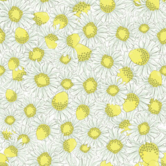 chamomile seamless pattern, daisy floral background , scattered flowers seamless vecto backdrop for wrapping paper, invitations, wedding etc