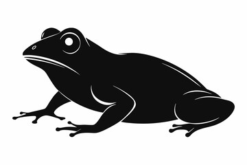 silhouette of frog  laying in profile on white background