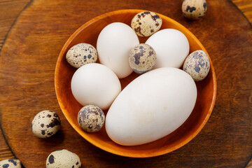 goose, chicken and quail egg in a wooden bowl on the table.
