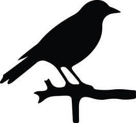 Obraz premium bird silhouette
