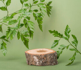 Wooden sawcut product stage or podium with copy-space for product presentation over green background  with green leaves.