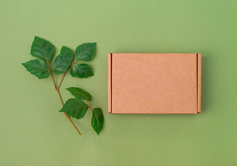 Mockup. Cardboard box on green background with green leaves top view.