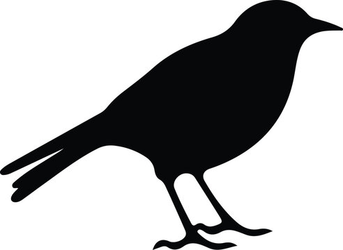 blackbird silhouette