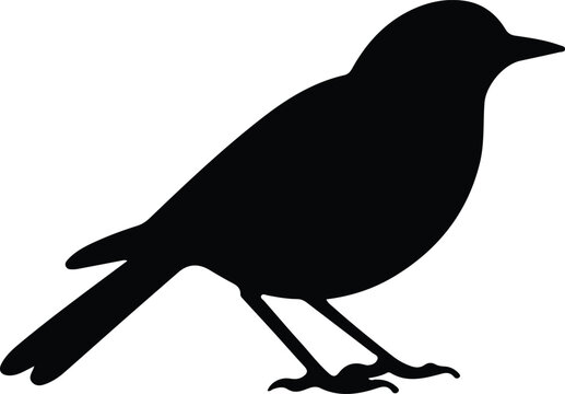 blackbird silhouette